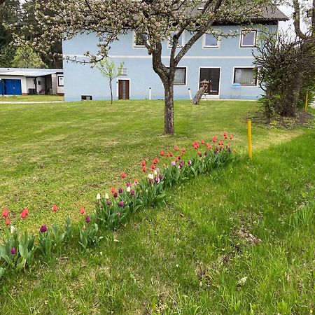 Nikolaierhaus Apartman Feldkirchen in Kärnten Kültér fotó