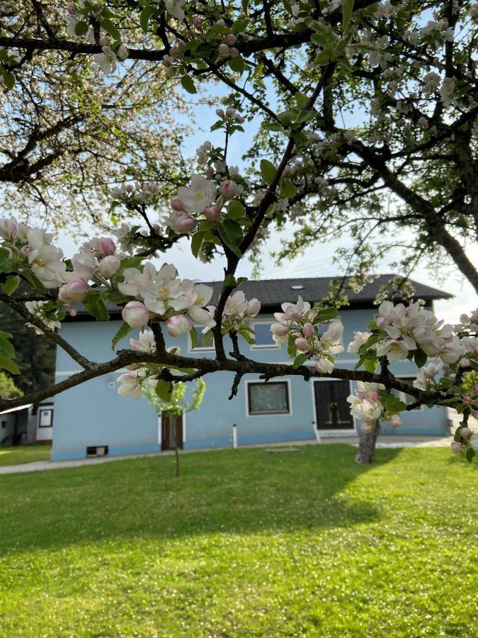 Nikolaierhaus Apartman Feldkirchen in Kärnten Kültér fotó