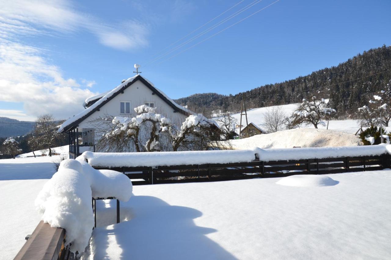 Nikolaierhaus Apartman Feldkirchen in Kärnten Kültér fotó